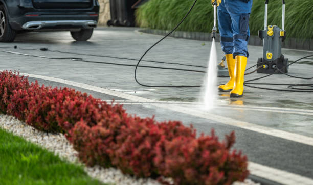 Best Driveway Pressure Washing  in Alva, OK